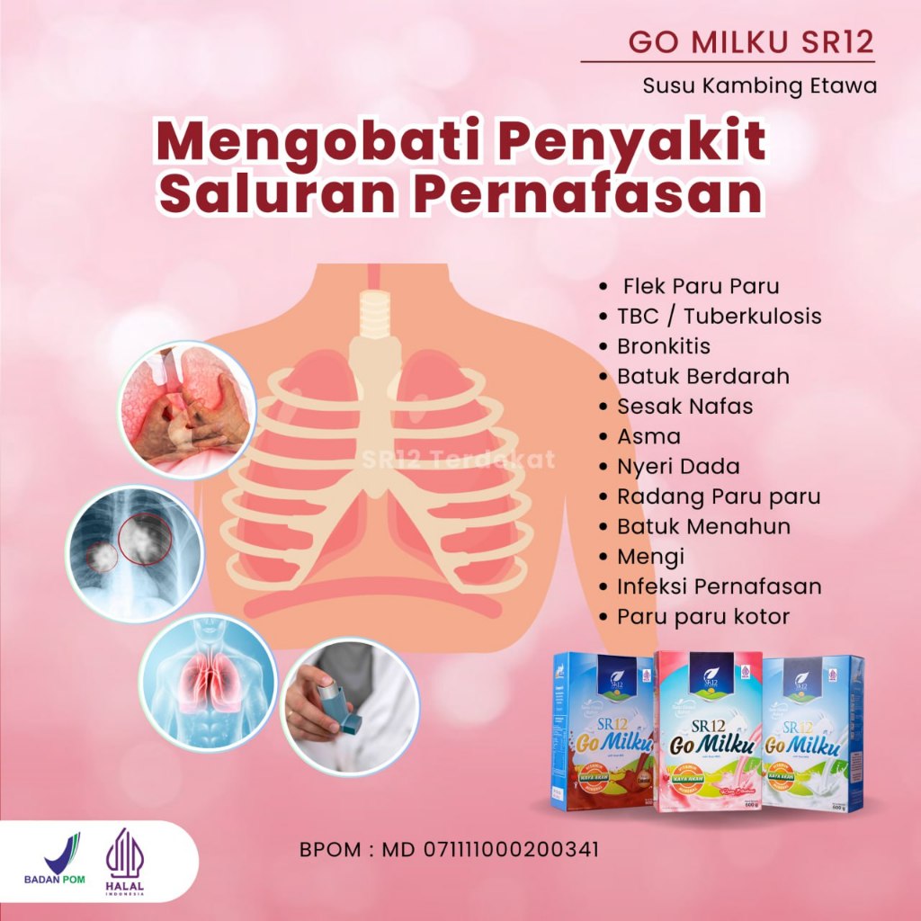 Obat Paru Paru Susu Kambing Etawa SR12 Gomilku Obat TBC