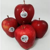 

APEL RED DEL USA - BUAH IMPORT - SUKABUAH