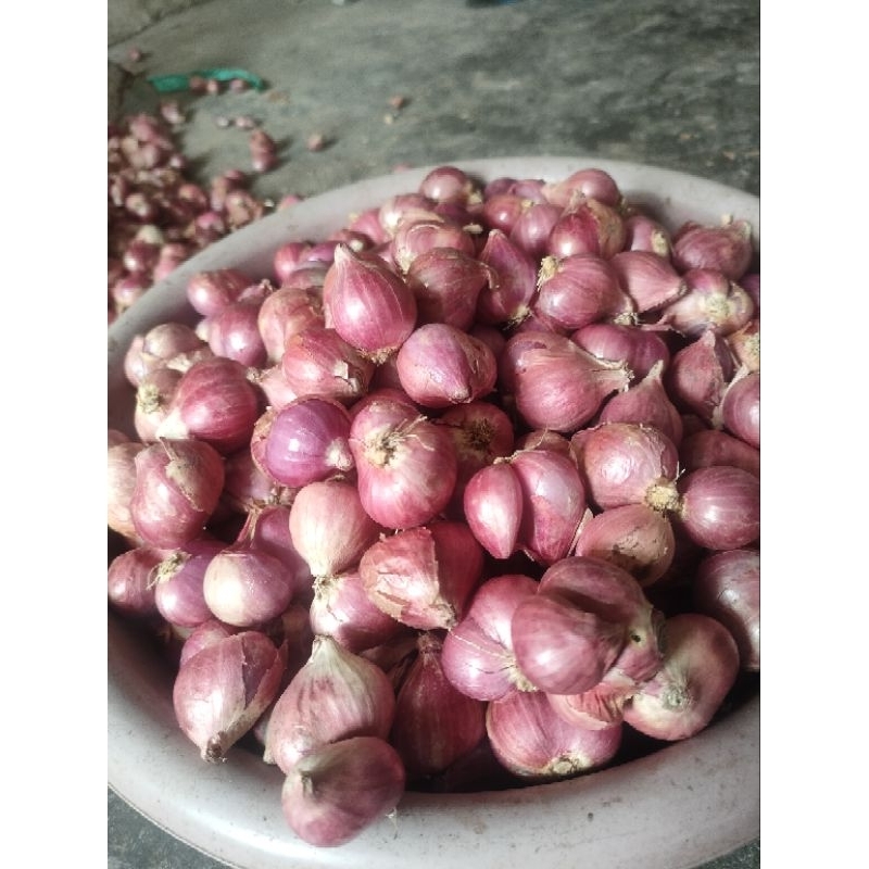 

Promo bawang merah super no campur sedang