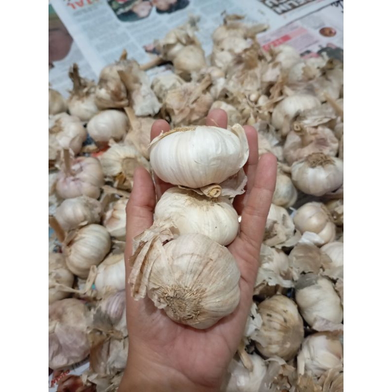 

Bawang Putih Bersihan