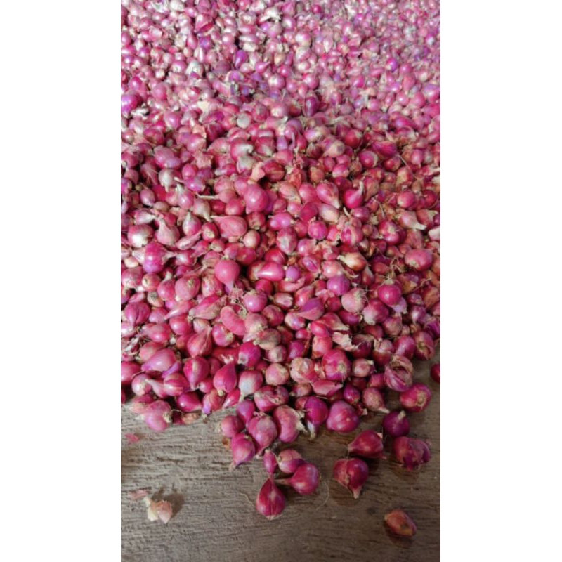 

BAWANG MERAH BREBES || BAWANG MERAH SUPER