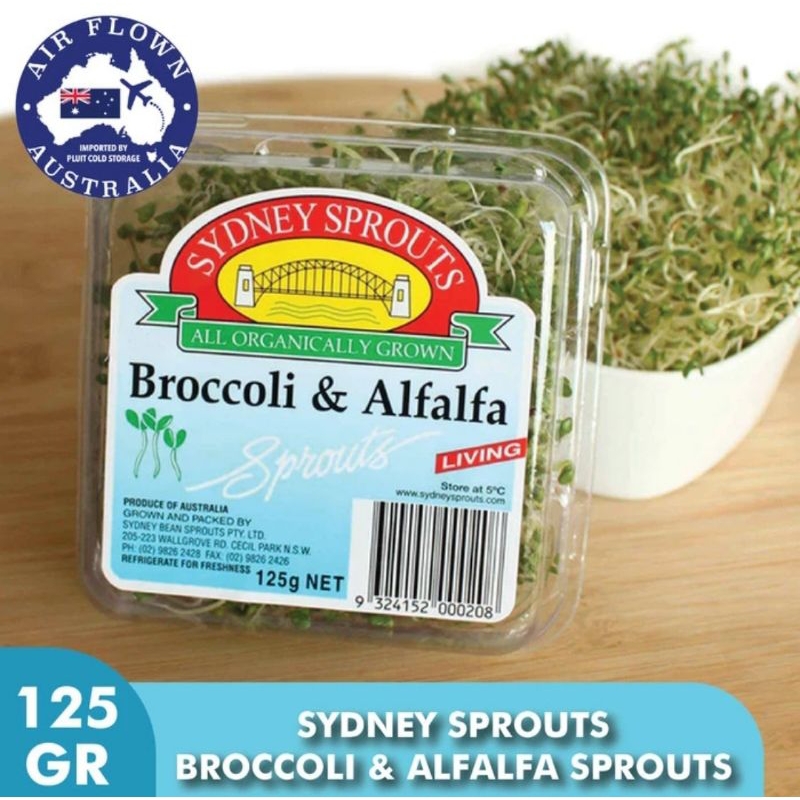 

Broccoli & Alfalfa Sprouts - Sydney Bean 125 gr