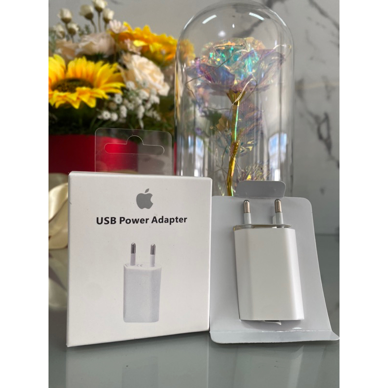 CHARGER IPHONE / Power Adapter 5Watt - ICOLOR PADANG