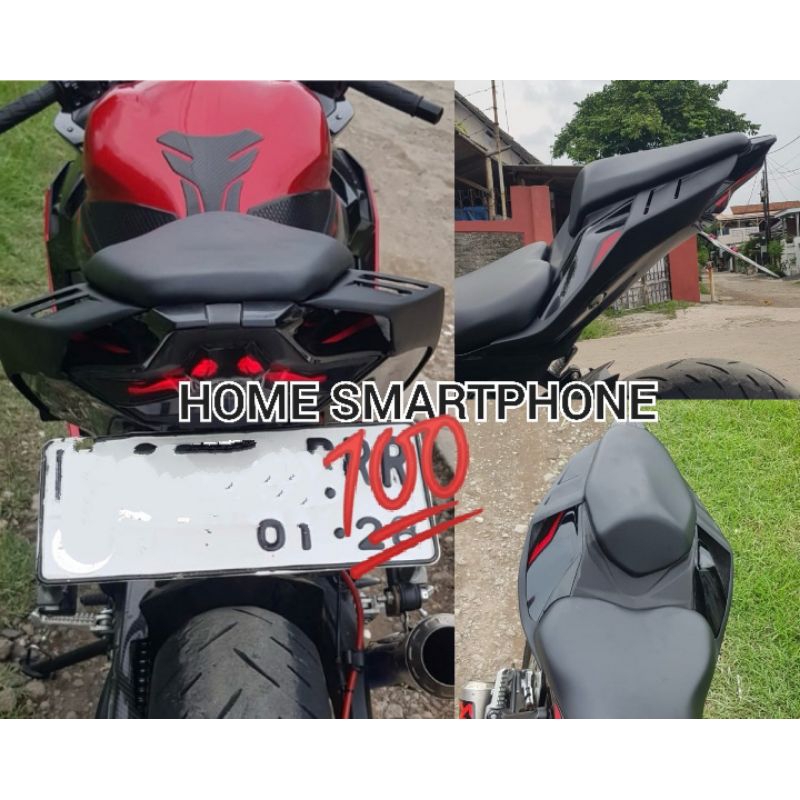 Wingtail Cover Body Belakang Kawasaki Ninja zx25r Model Sirip Hiu zx10