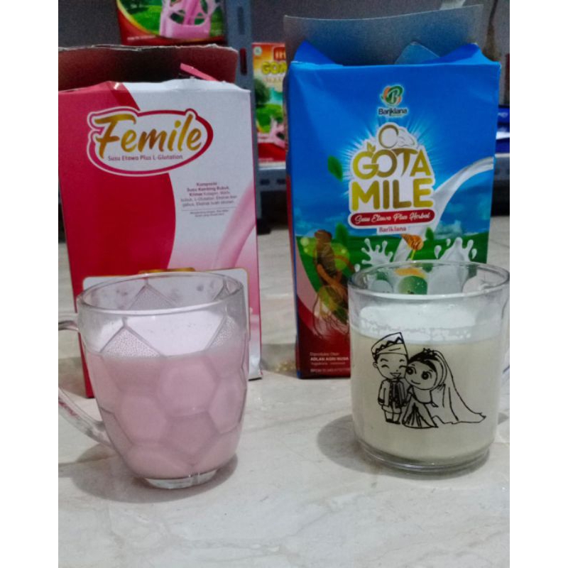 

Paket untuk suami istri, susu kambing etawa plus herbal