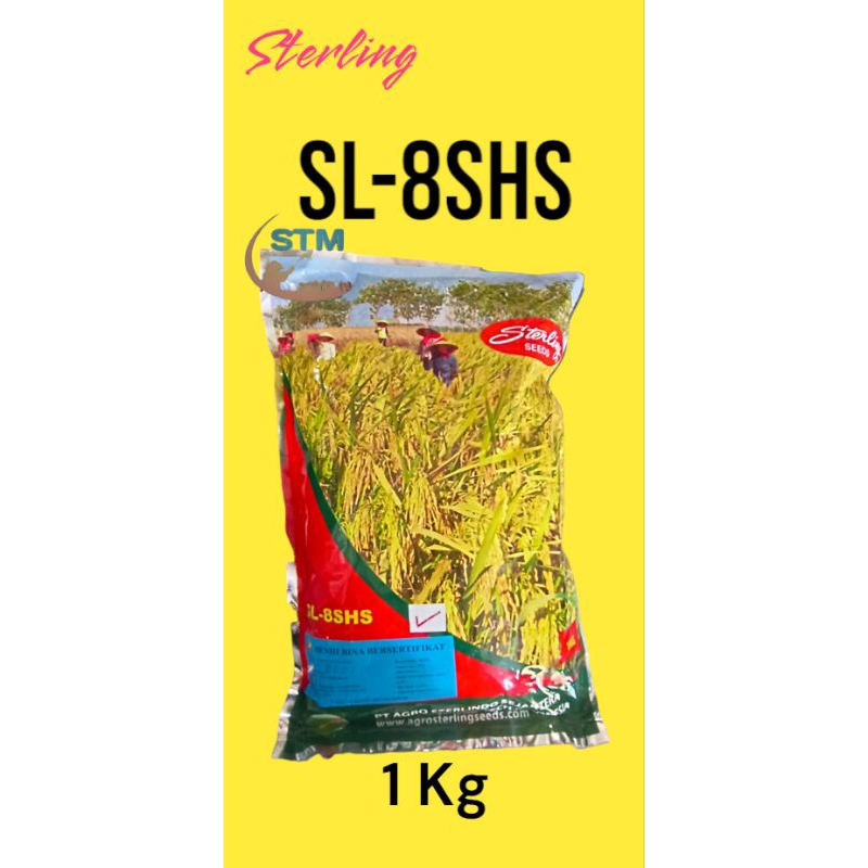 Benih padi Sl8shs Sterling 1kg