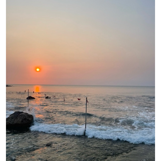 

Limit nota live 5 1kg