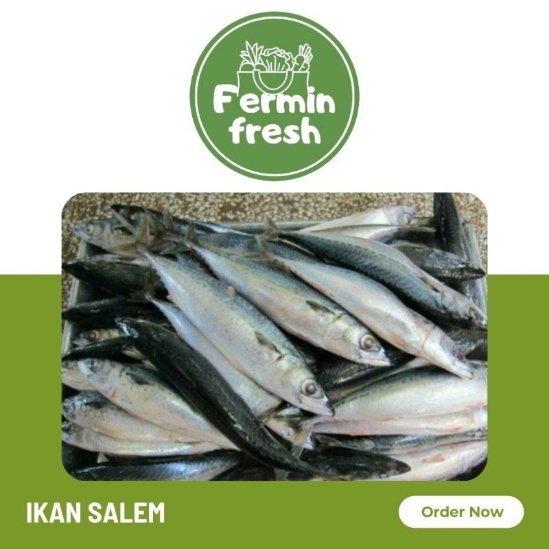 

Fermin Fresh, Ikan salem segar 500 - 1000gr