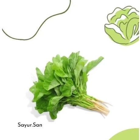 

Bayam segar per ikat