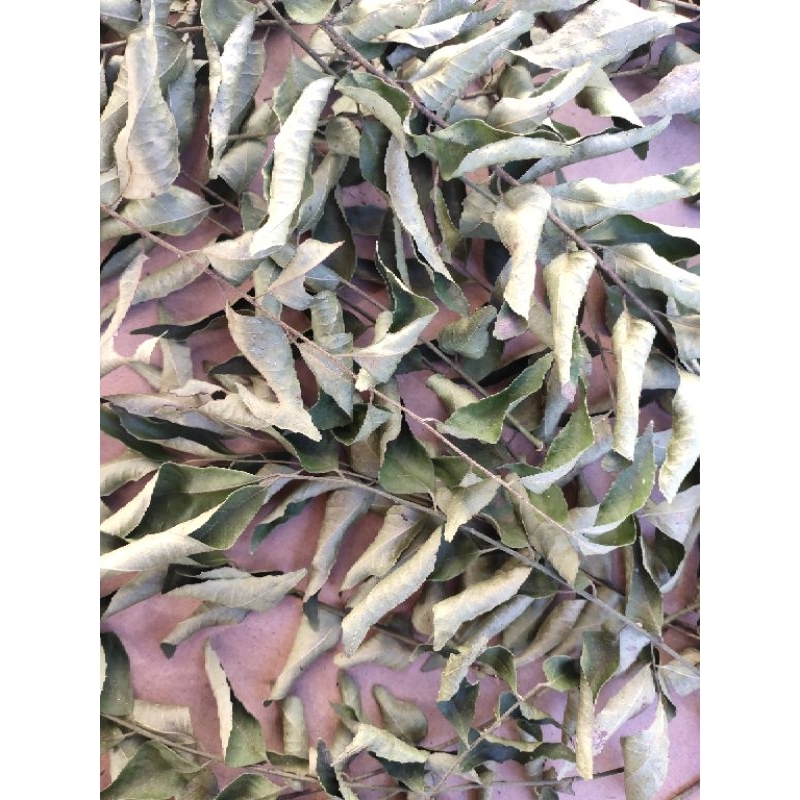 

Bu Tani Rempah * Daun salam kari kering / salam Koja kering 10 gram