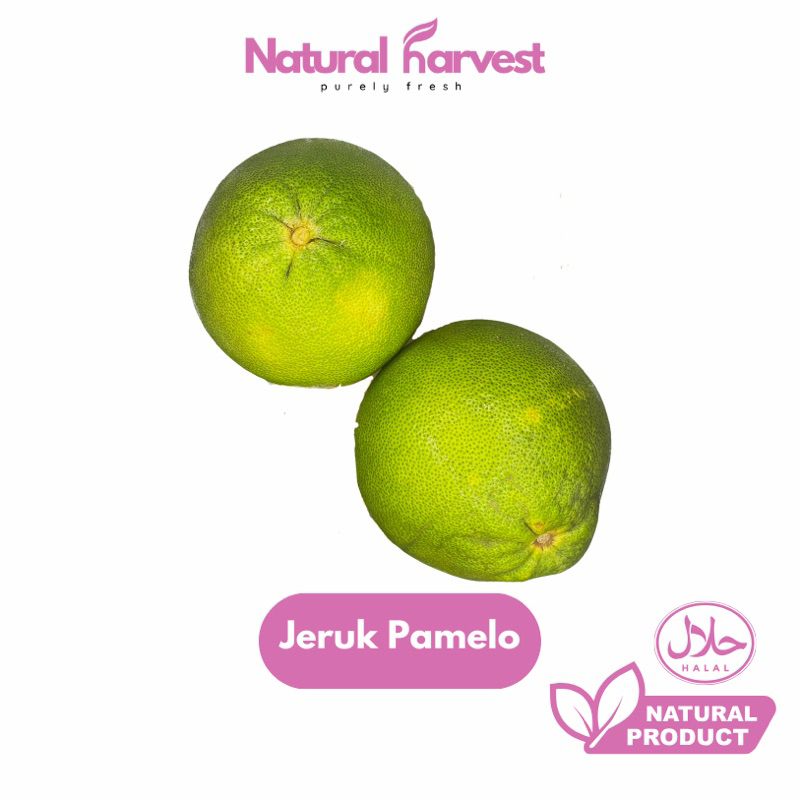 

Buah Jeruk Pamelo 1pcs | NaturalHarvest!