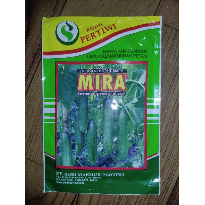 Benih Mentimun Bibit Timun Hibrida F1 MIRA Benih Pertiwi