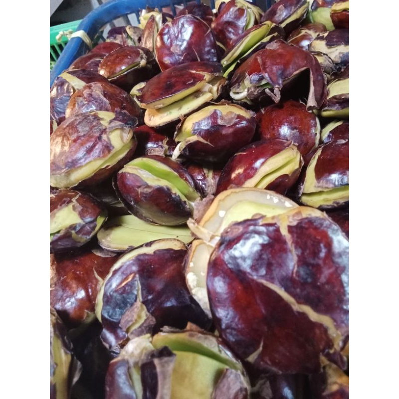 

jengkol 1kg