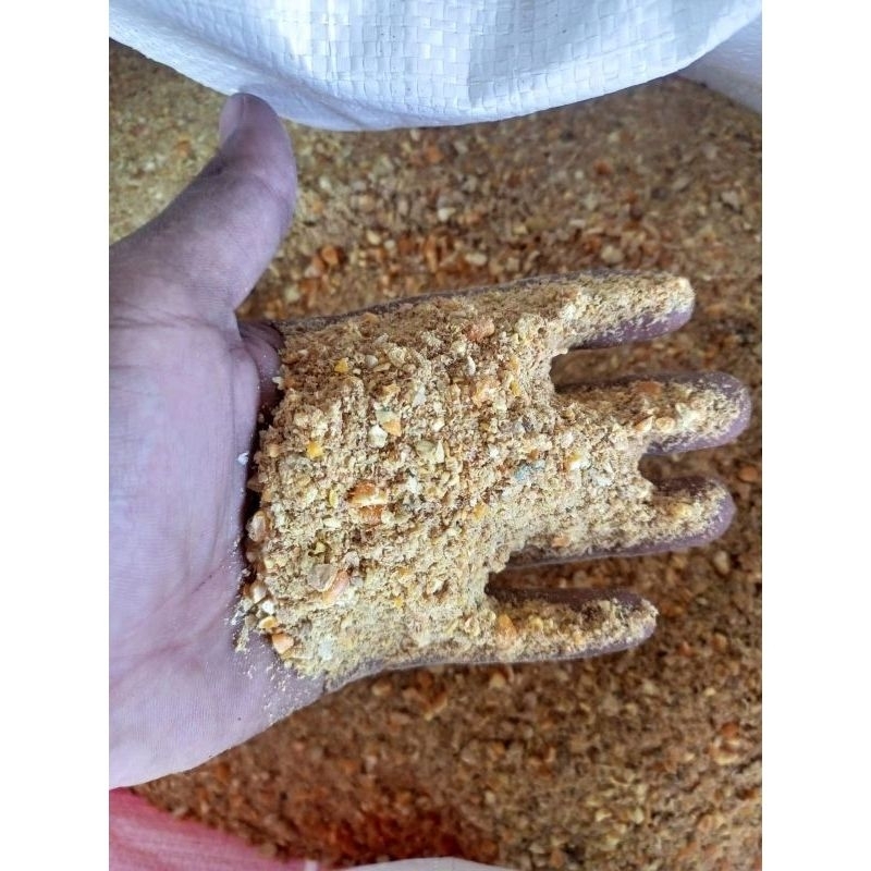 Pakan ayam petelur jadi 1 kg