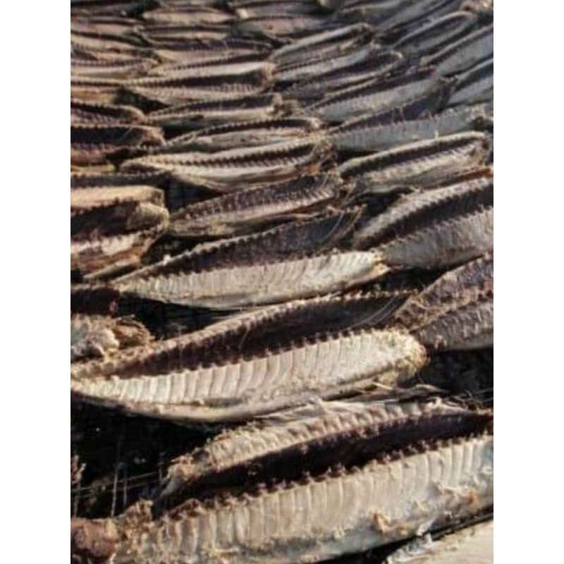 

ikan khas aceh isi 500g
