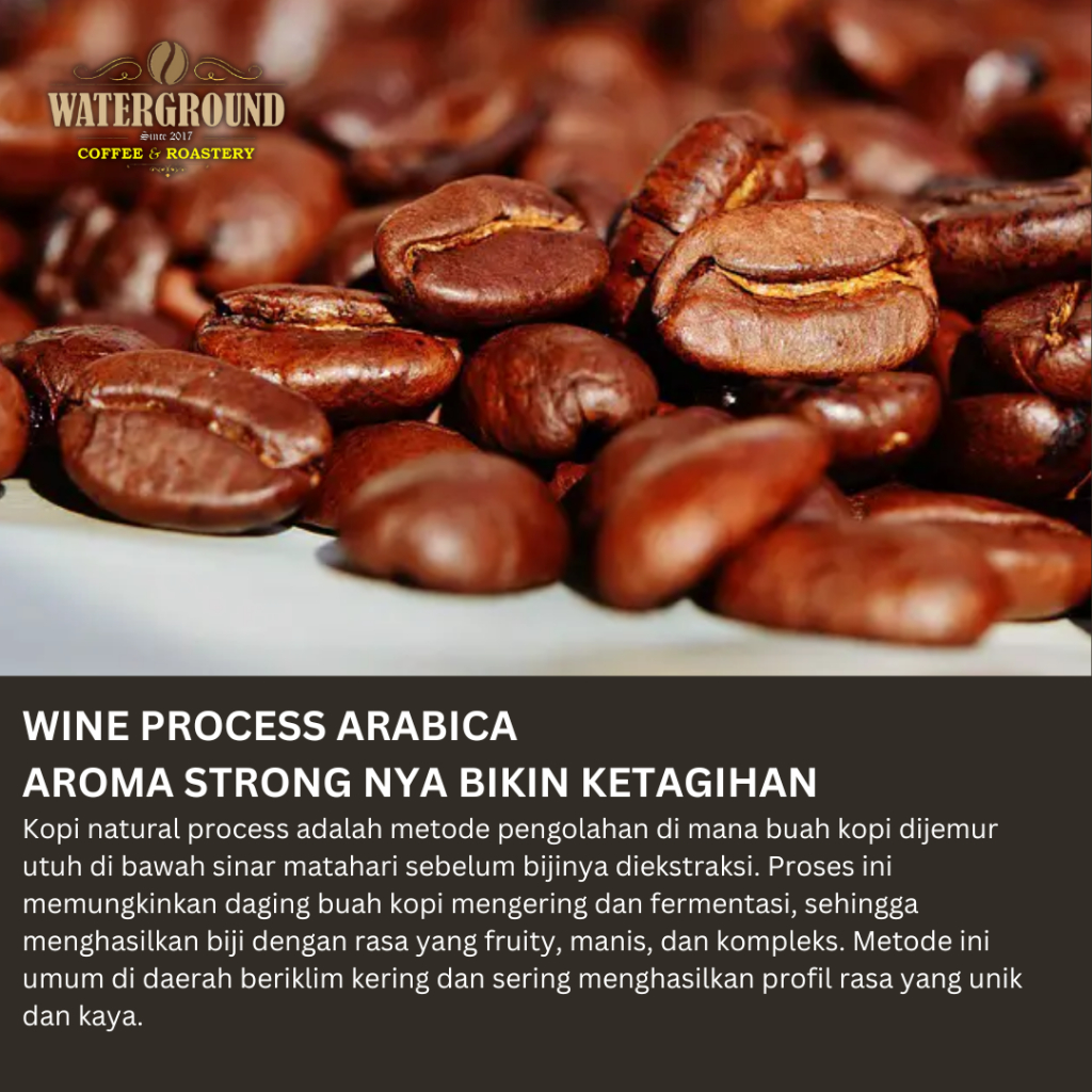 

PROMO Waterground Coffee Kopi Arabika Aceh Gayo Process Biji Kopi 1 Single gin, 200 GR