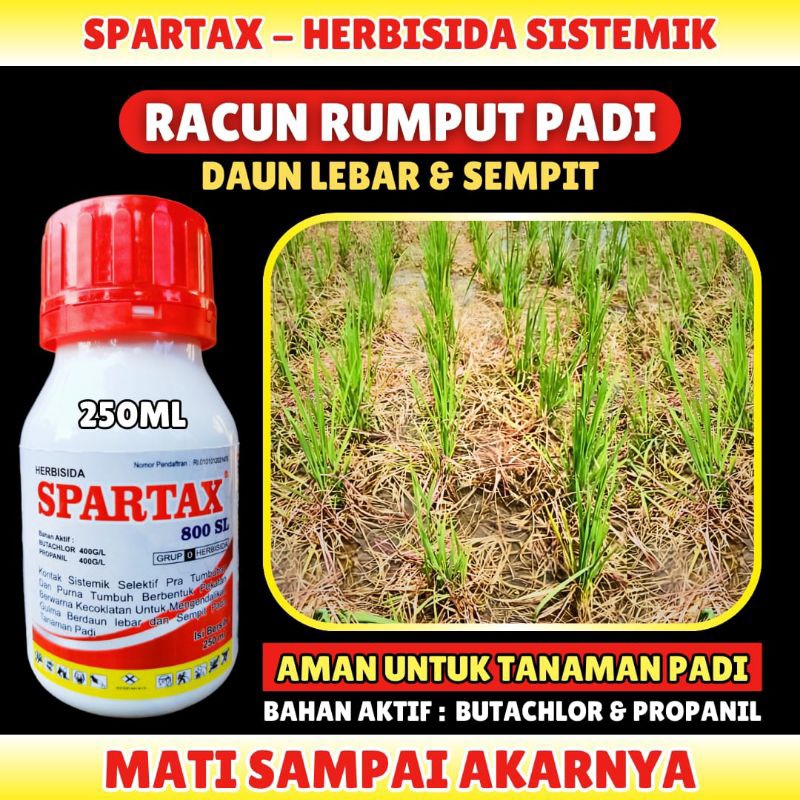 SPARTAX Racun Rumput Padi