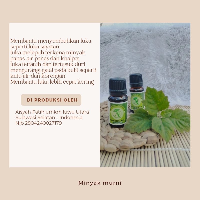 

minyak Nilam murni
