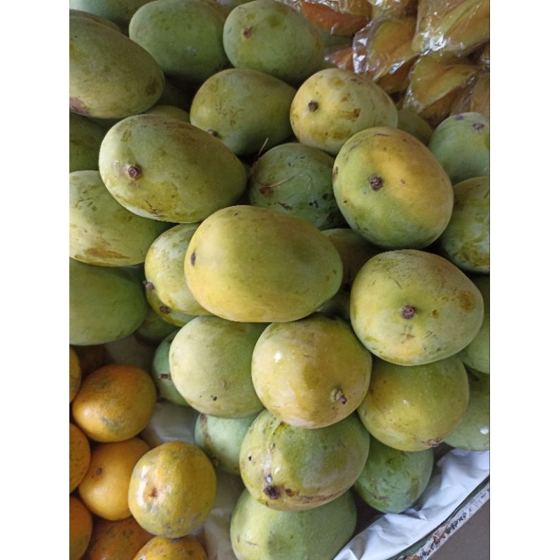 

mangga harumanis jepara super