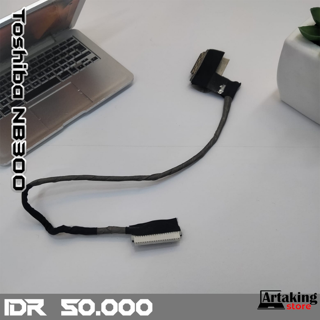 Flexible LCD Laptop Toshiba NB300