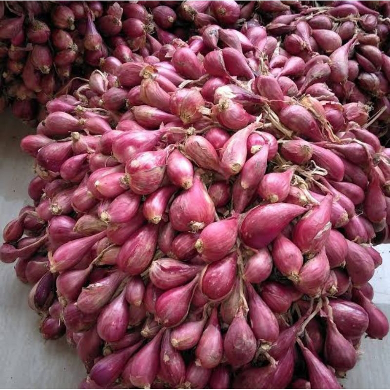 

Bawang Merah Brebes ¼kg super