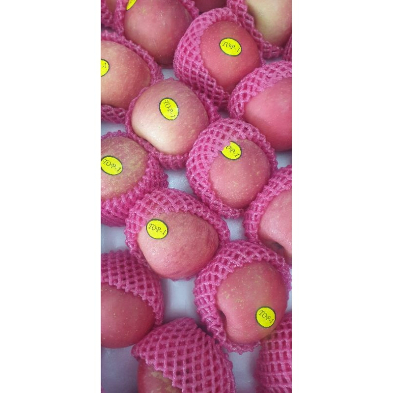 

REALPICT! apel fuji 100