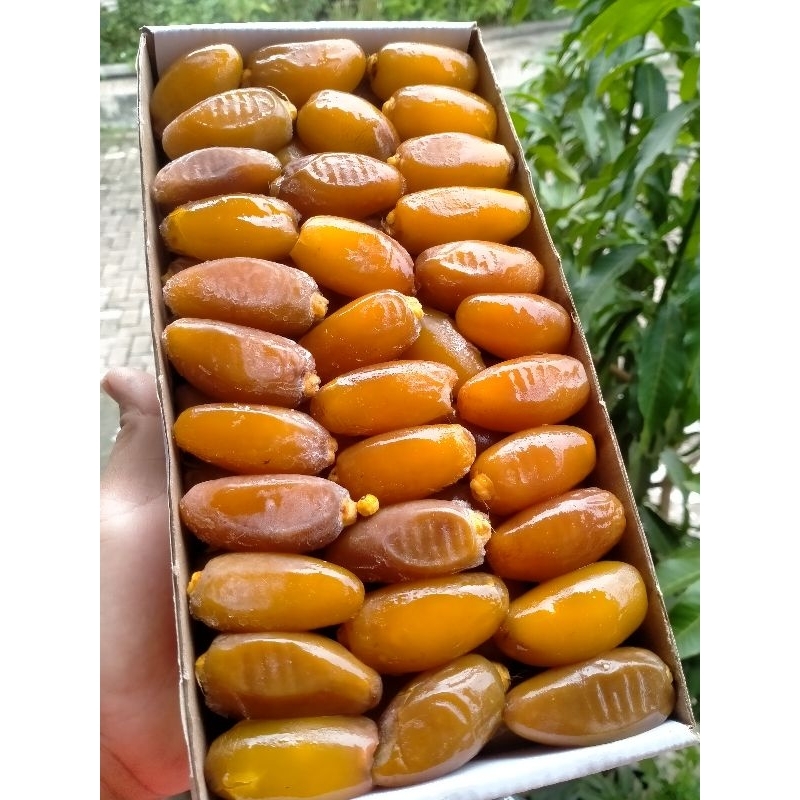 

Kurma RUTHOB Oleh oleh Haji