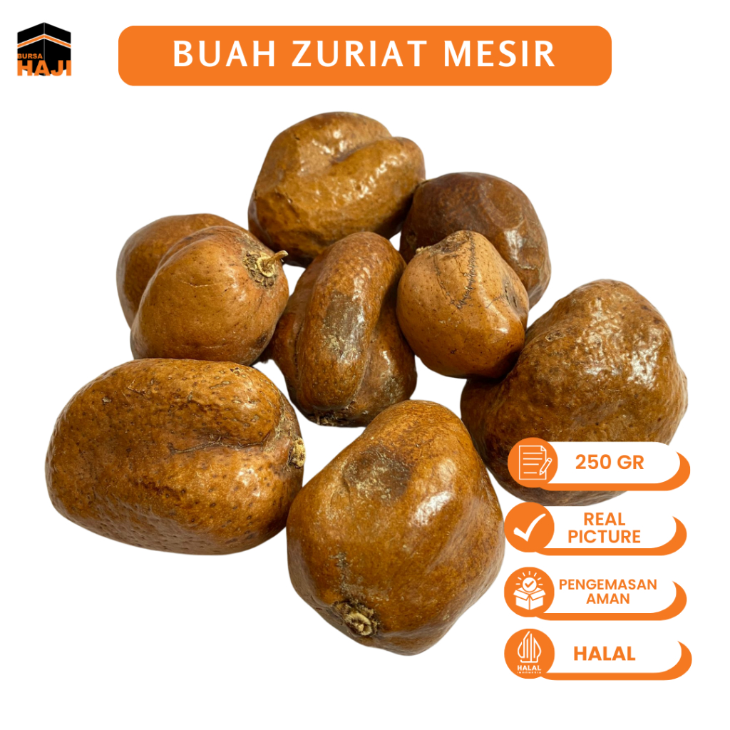 Buah Zuriat Madinah & Mesir 250gr Cocok Untuk Promil Program Hamil Anak Bayi Suplemen Kesuburan