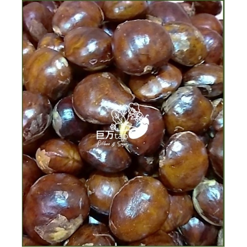 

JENGKOL SEGAR DAN HEMAT KYOMNTAP 250 GRAM - 500 GRAM
