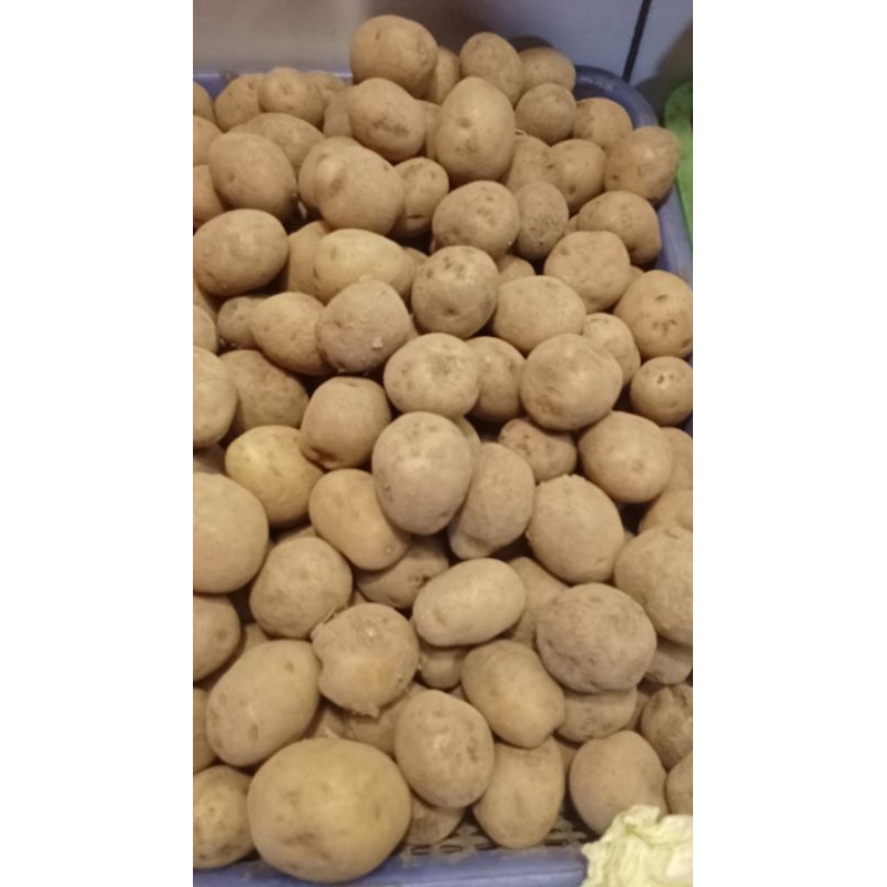 

kentang somay berat 500grm