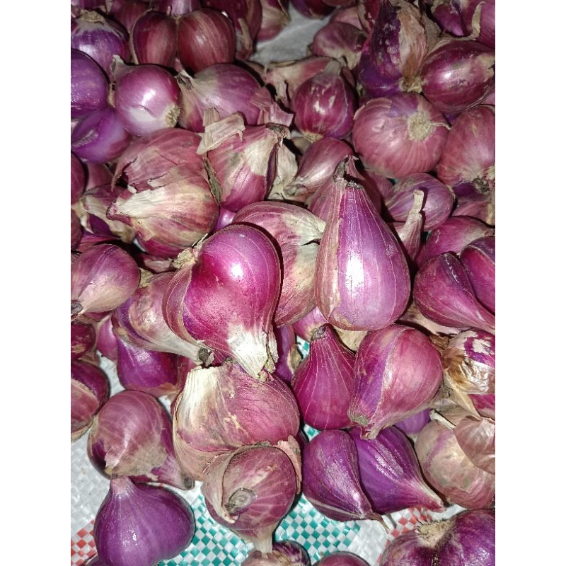 

Bawang merah probolinggo 500gr