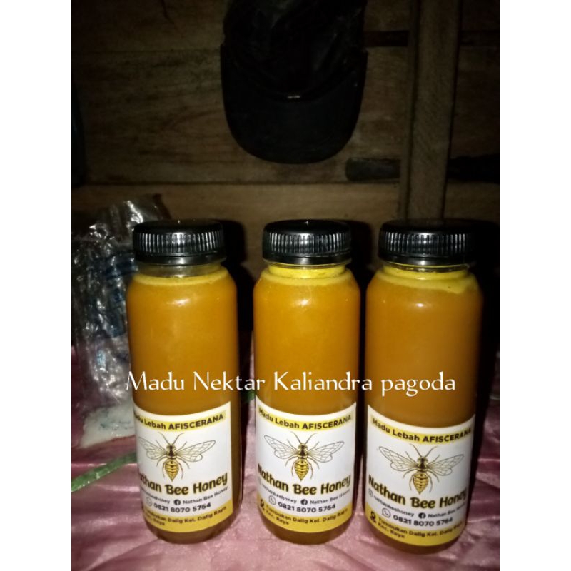 

Madu asli murni lebah afiscerana