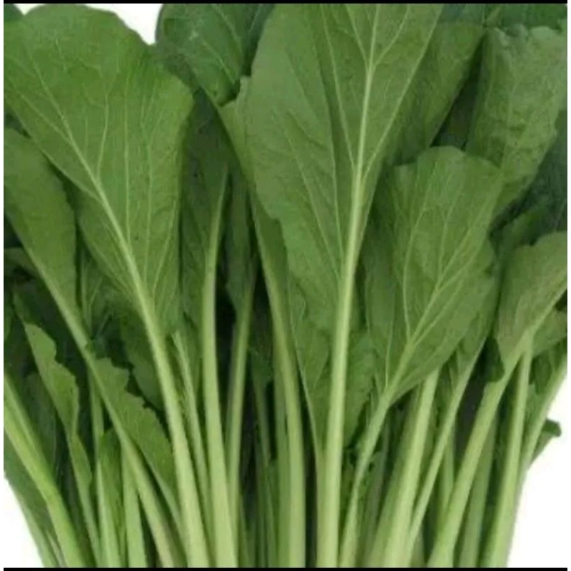 

sawi hijau 500gr
