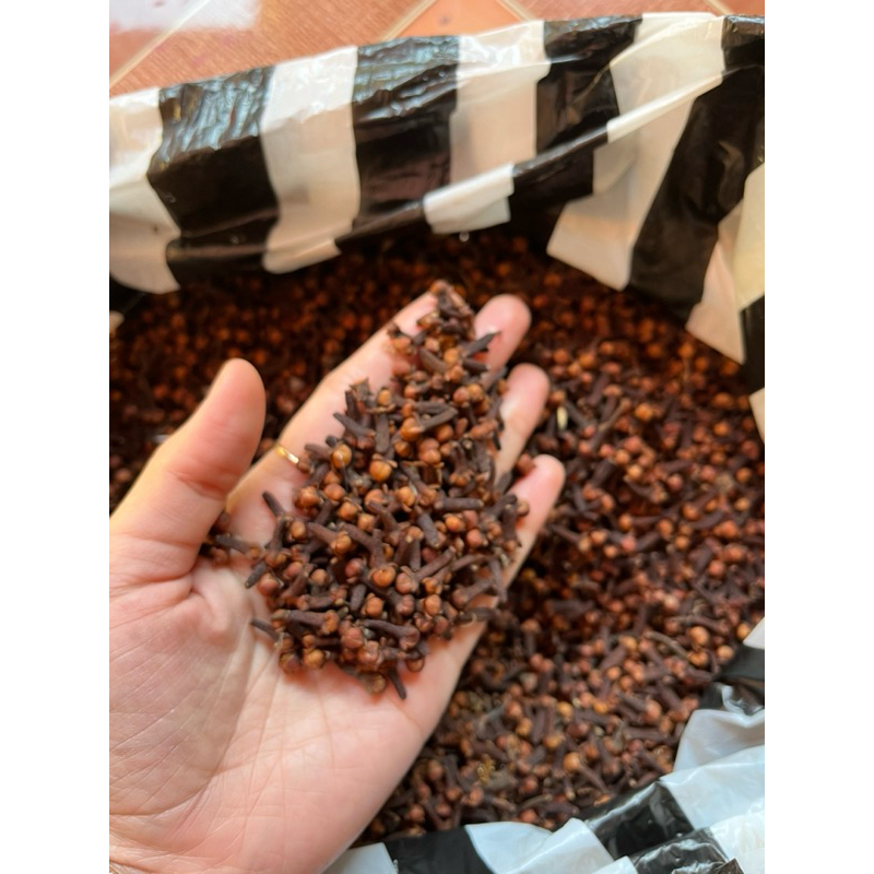 

cengkeh kering kemasan 100gr