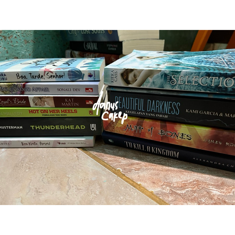 NOVEL PRELOVED ORIGINAL boa noite, amor, thunderhead, royal's bride, boa tarde, senhor, the selectio