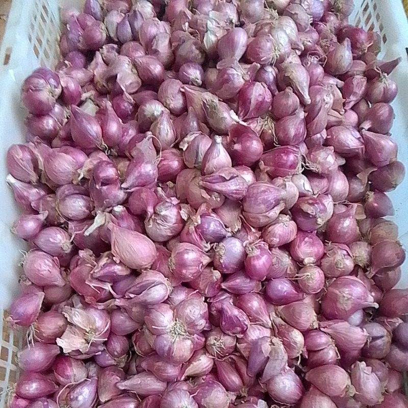 

Bawang merah Brebes 1kg