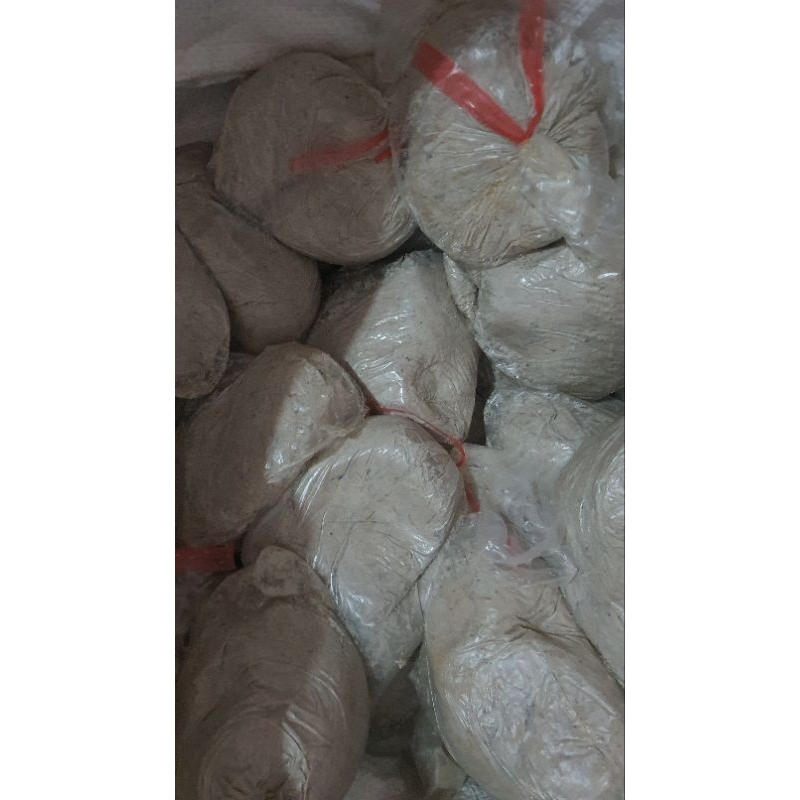 kucur / uyup umpan ikan baung