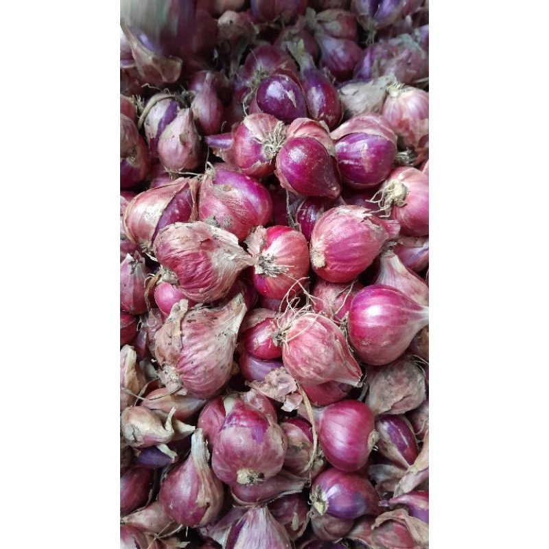 

Bawang Merah Brebes Super !