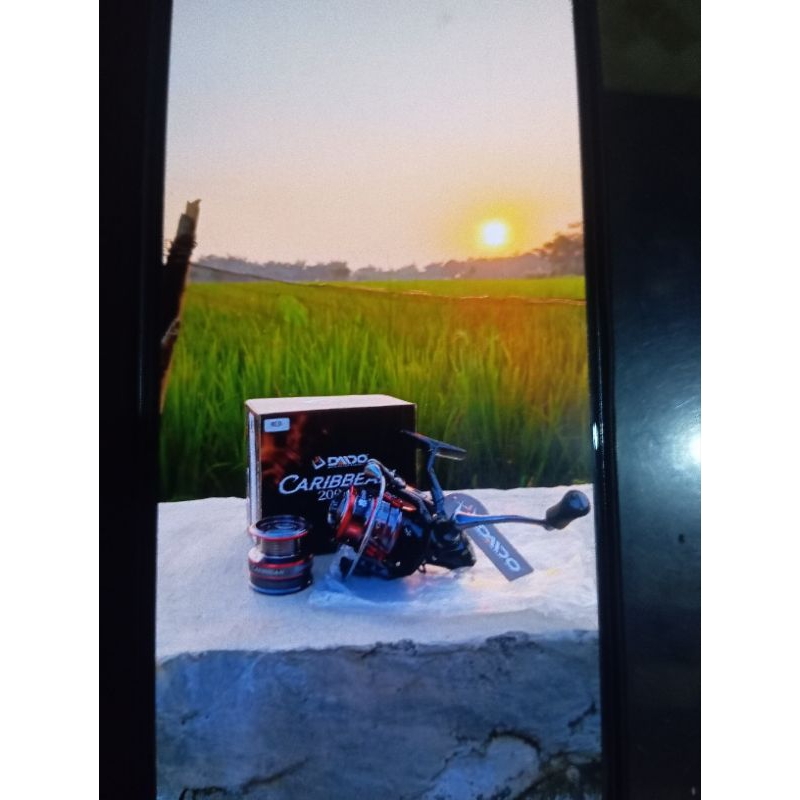 Rell Daido Caribbean 2000hs