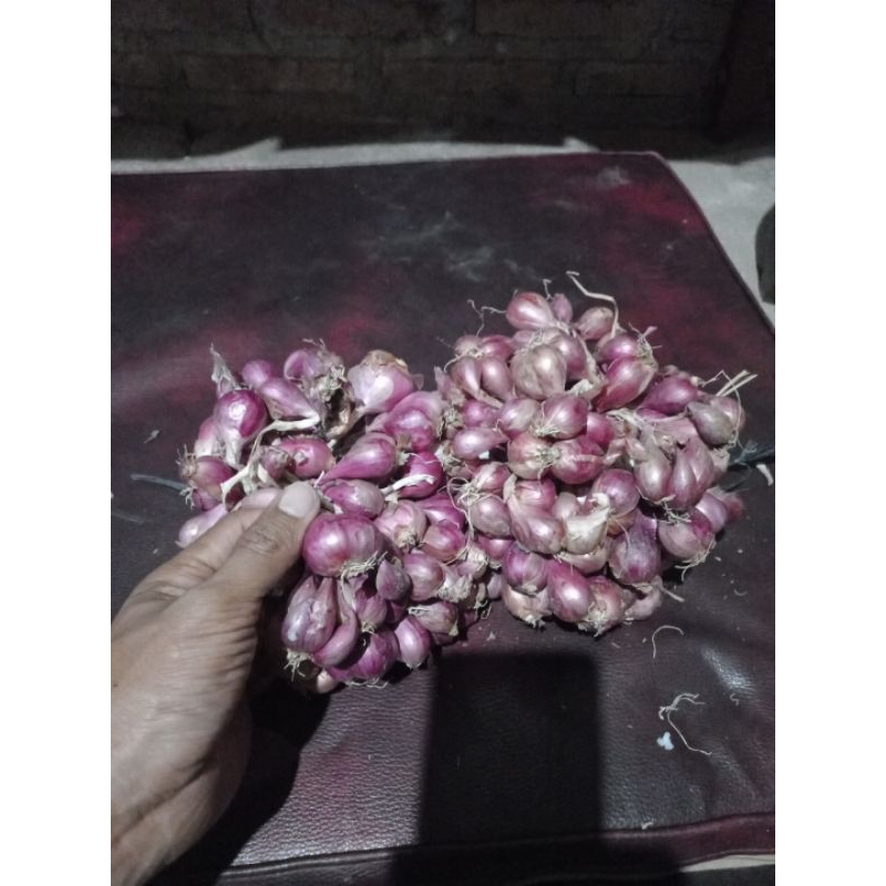 

Bawang merah super pentolan atau Bamer kering 1000 gram / 1 kg