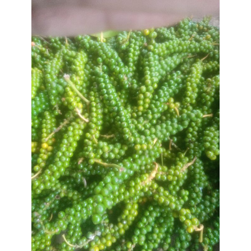 

lada hijau segar per 250 gram