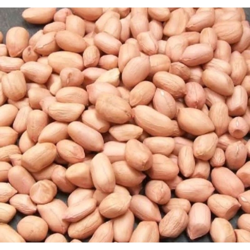 

kacang kupas bali 250gram.
