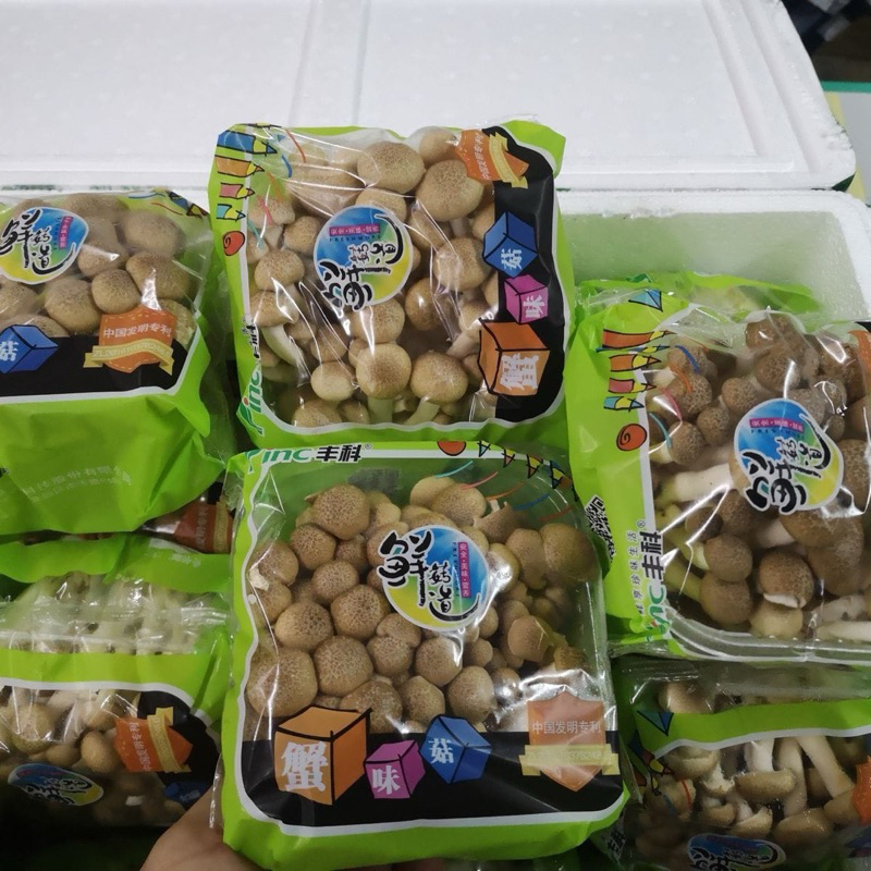 

Jamur shimeji brown / 1pack