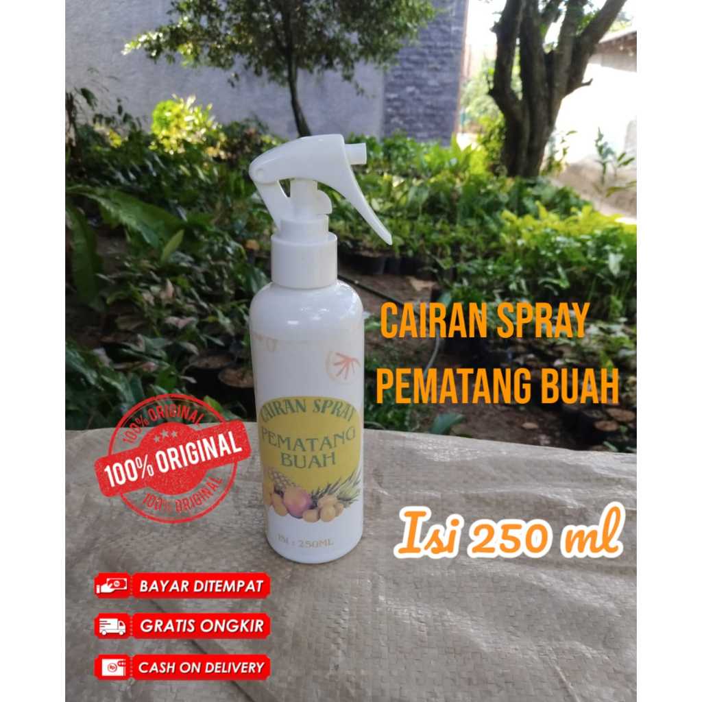 cairan spray PEMATANG BUAH | buah matang dalam 2 hari | buah matang secara instan | mempercepat pema