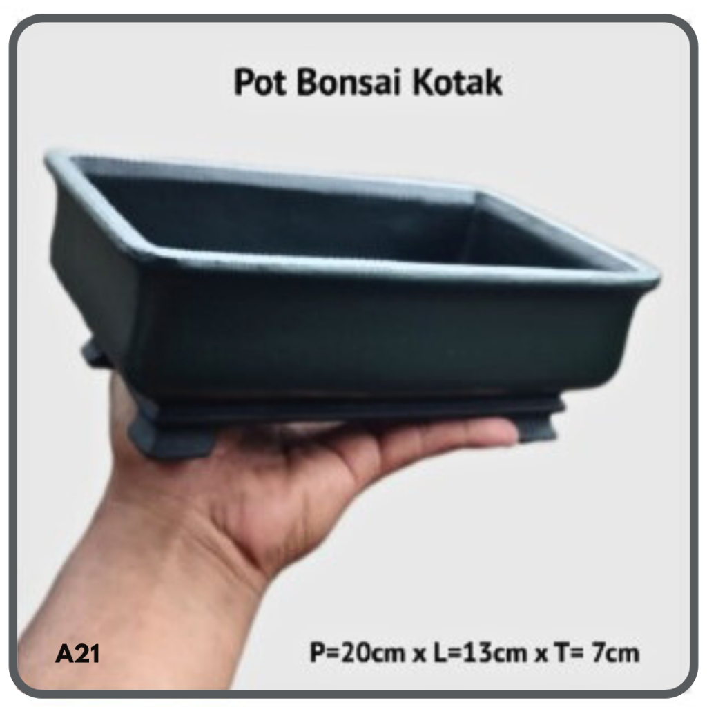 Pot Bonsai Tanaman Hias Small Persegi Bahan Semen
