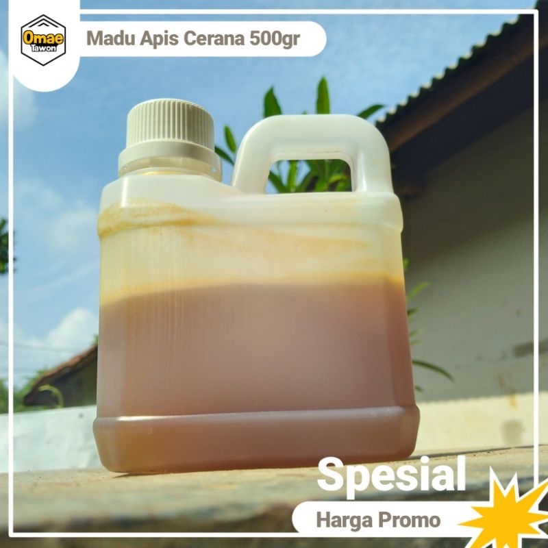 

MADU HUTAN MURNI LEBAH LIAR (apis cerana) asli murni 100% tanpa campuran kemasan 500gr