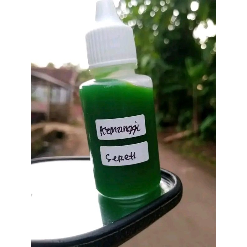 esen ikan mas harian dan lomba