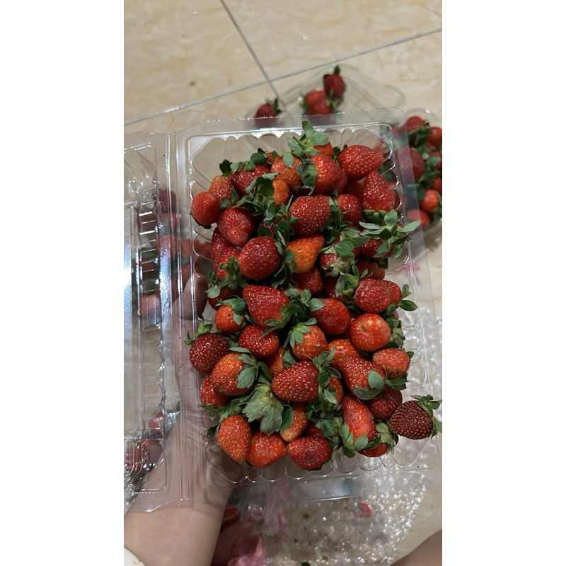 

strawberry grade C (kecil) 500 gr