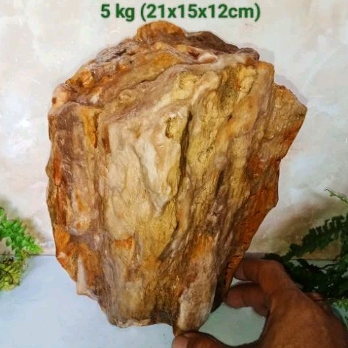 batu fosil galih kelor kristal (483)