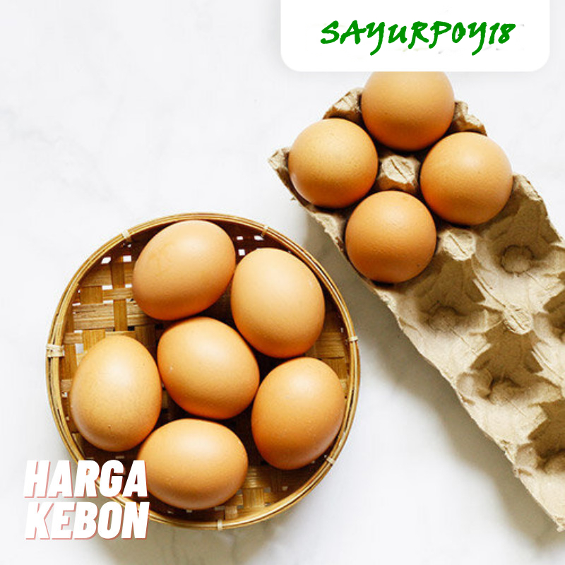 

Telur Ayam Negeri Harga Kebon 10 pcs. (Sayurpoy18)